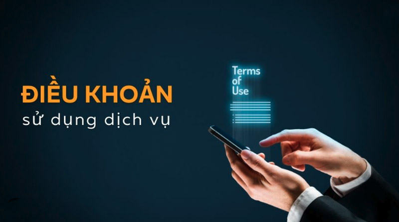 Điều khoản sử dụng website và những trường hợp bị cấm thực hiện tại N88